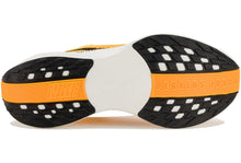 Carregar imagem no visualizador da galeria, Nike Pegasus Plus M LV8
