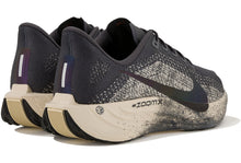 Carregar imagem no visualizador da galeria, Nike Pegasus Plus M LV8
